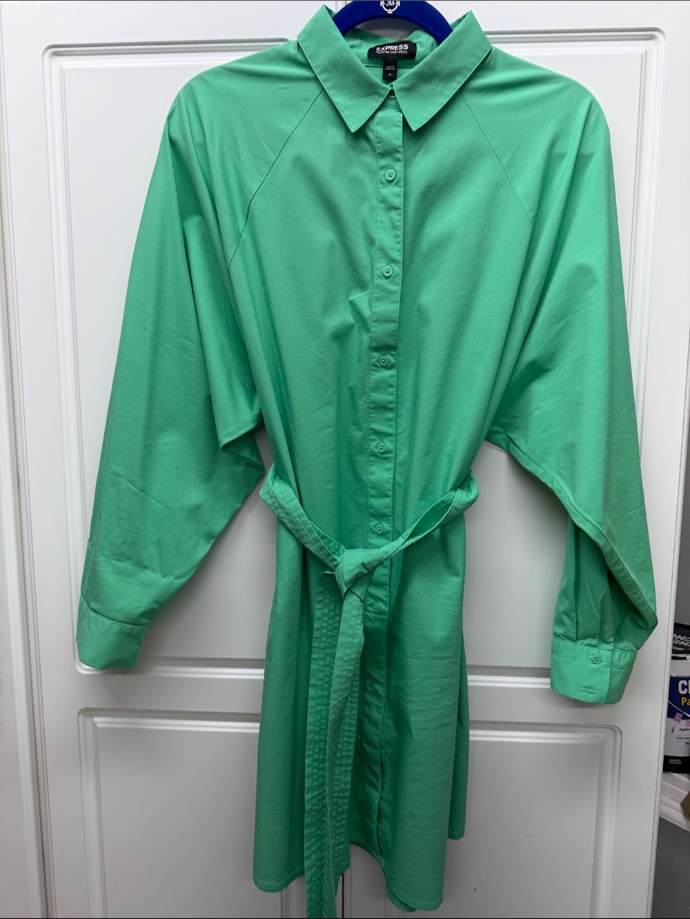 Express  Green Portofino Shirt Dress